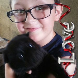 Meet your Posher, Dannie